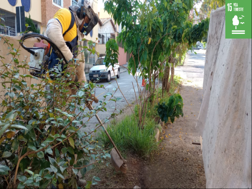 PJF atende a 67 praças com serviços de limpeza e poda de grama em agosto PJF atende a 67 praças com serviços de limpeza e poda de grama em agosto