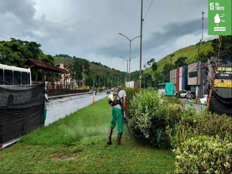 PJF atende a quase 30 bairros com os serviços de limpeza e poda de grama em cinco dias PJF atende a quase 30 bairros com os serviços de limpeza e poda de grama em cinco dias