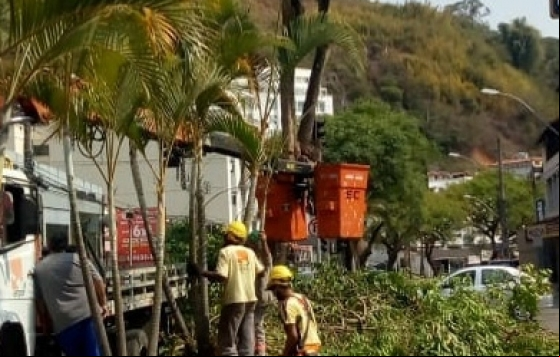 Empav realiza manutenção de praças, canteiros de avenidas e rotatórias