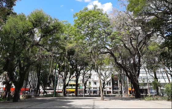 Empav realiza manutenções no Parque Halfeld, canteiros e praças