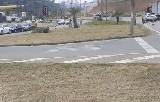 Empav realiza poda de árvores e grama em diversos pontos Empav realiza poda de árvores e grama em diversos pontos
