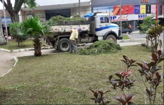 Empav realiza poda em canteiros e árvores nesta sexta Empav realiza poda em canteiros e árvores nesta sexta