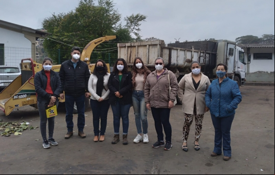 PJF desenvolve maneiras de reaproveitamento de podas de árvores PJF desenvolve maneiras de reaproveitamento de podas de árvores