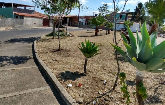 Escolas Municipais recebem equipes da Empav para serviços de zeladoria