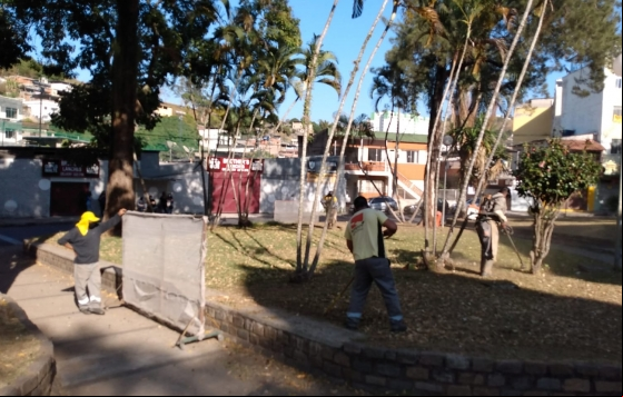 Empav realiza manutenção em canteiros da cidade Empav realiza manutenção em canteiros da cidade