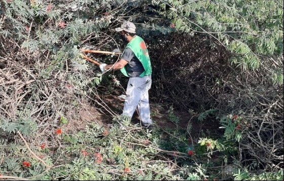Operação Boniteza realiza serviços de zeladoria na cidade Operação Boniteza realiza serviços de zeladoria na cidade