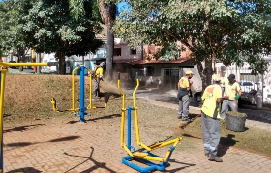 Vila Ideal, Santa Lúcia, Vale do Ipê e Amazônia recebem equipes da Empav para serviços de zeladoria Vila Ideal, Santa Lúcia, Vale do Ipê e Amazônia recebem equipes da Empav para serviços de zeladoria