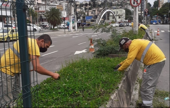  Setor de Parques e Jardins da Empav dá seguimento às ações da Operação Boniteza 