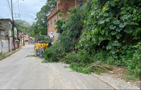Equipes da Empav atuam na desobstrução de vias afetadas pelas chuvas em JF Equipes da Empav atuam na desobstrução de vias afetadas pelas chuvas em JF