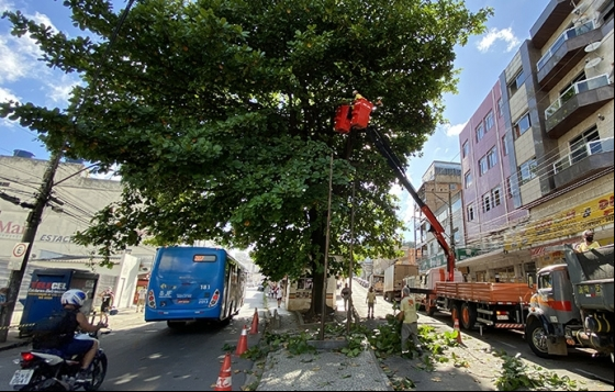 Programa Boniteza realiza poda de árvores na Avenida Rio Branco neste sábado, 9 Programa Boniteza realiza poda de árvores na Avenida Rio Branco neste sábado, 9