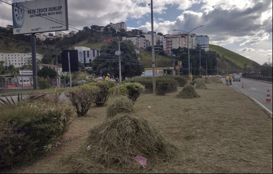 Através da Empav, zeladoria do Programa Boniteza atende 12 bairros em uma semana Através da Empav, zeladoria do Programa Boniteza atende 12 bairros em uma semana