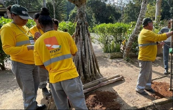 Parceria entre a PJF e o Senar oferece curso de viveirista florestal para acauteladas no Horto Parceria entre a PJF e o Senar oferece curso de viveirista florestal para acauteladas no Horto
