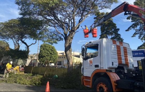 PJF dá início à operação de podas de árvores na Avenida Brasil PJF dá início à operação de podas de árvores na Avenida Brasil