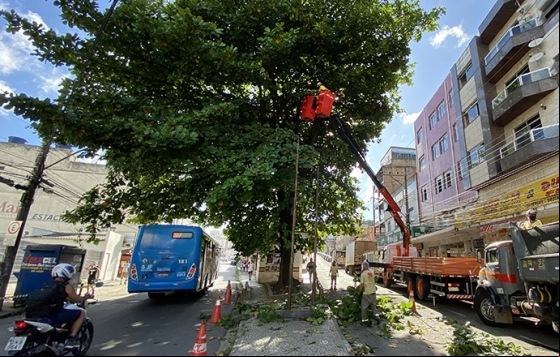 Com ações preventivas, Prefeitura supera o número de podas de árvores de 2021 Com ações preventivas, Prefeitura supera o número de podas de árvores de 2021