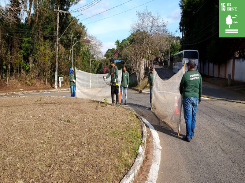 PJF atende a 16 bairros com serviços de limpeza e poda de grama em quatro dias PJF atende a 16 bairros com serviços de limpeza e poda de grama em quatro dias
