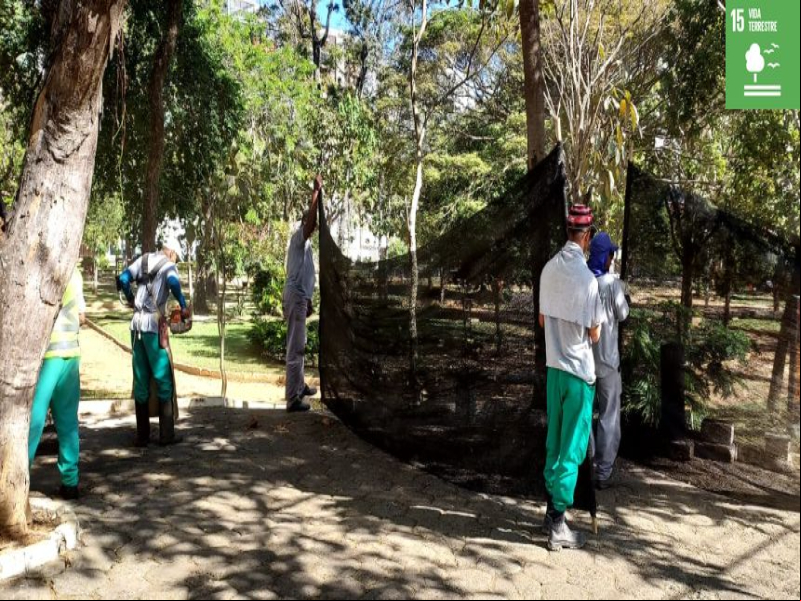 PJF realiza 184 atendimentos de limpeza e poda de grama em toda a cidade no mês de Junho PJF realiza 184 atendimentos de limpeza e poda de grama em toda a cidade no mês de Junho
