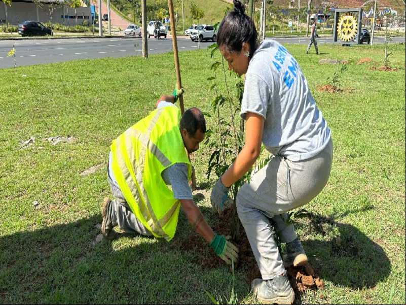 Cultivar o Futuro: Empav realiza o plantio de mais de 250 árvores nativas na Avenida Deusdedith Salgado Cultivar o Futuro: Empav realiza o plantio de mais de 250 árvores nativas na Avenida Deusdedith Salgado