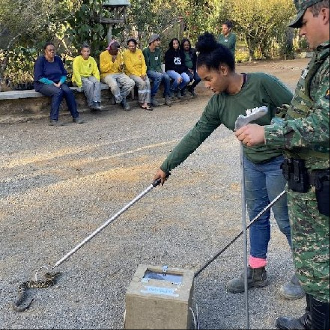 Trabalhadoras e trabalhadores do Horto Florestal recebem orientações sobre animais peçonhentos Trabalhadoras e trabalhadores do Horto Florestal recebem orientações sobre animais peçonhentos