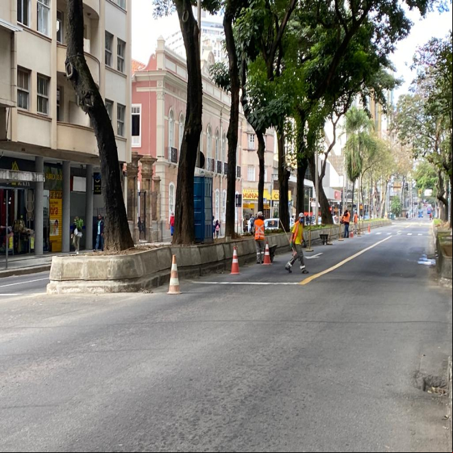 PJF avança na revitalização dos canteiros da Avenida Rio Branco PJF avança na revitalização dos canteiros da Avenida Rio Branco
