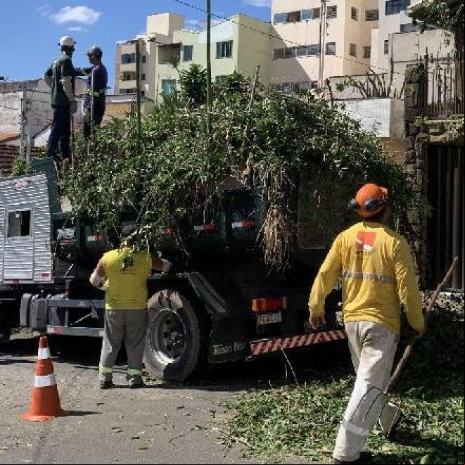Diversos pontos da cidade são atendidos com limpeza e poda de grama e árvore nesta semana Diversos pontos da cidade são atendidos com limpeza e poda de grama e árvore nesta semana