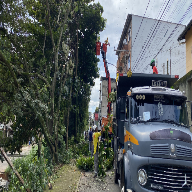 PJF realiza mais de 670 podas de árvore de janeiro até março de 2023 PJF realiza mais de 670 podas de árvore de janeiro até março de 2023