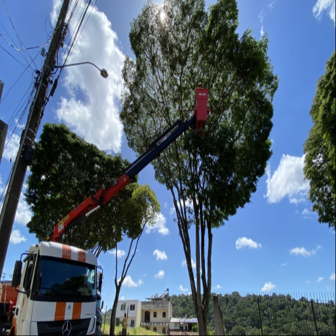 Prefeitura realiza poda de árvores em mais de dez bairros nesta semana Prefeitura realiza poda de árvores em mais de dez bairros nesta semana