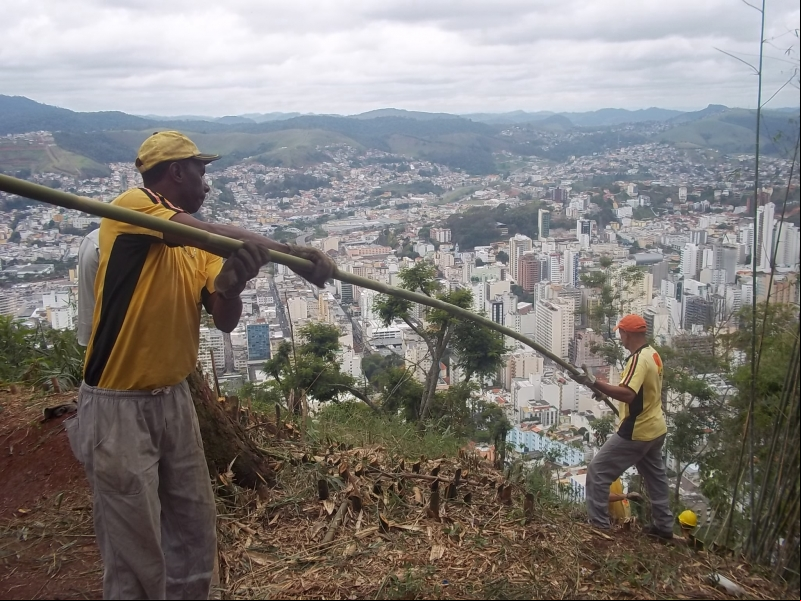 Empav realiza poda de árvore e bambuzal no Morro do Imperador Empav realiza poda de árvore e bambuzal no Morro do Imperador