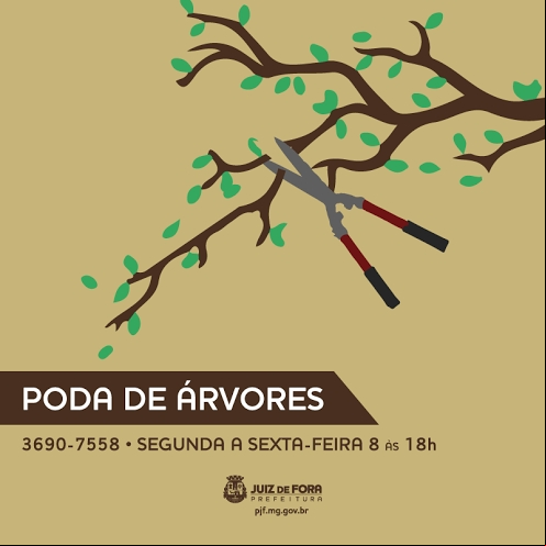 Empav promove poda e manutenção de árvores em diversas regiões da cidade Empav promove poda e manutenção de árvores em diversas regiões da cidade