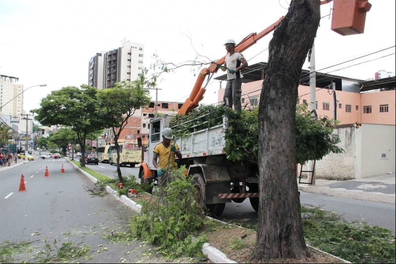 Empav realiza poda de árvores na Avenida Presidente Itamar Franco e em outros três locais