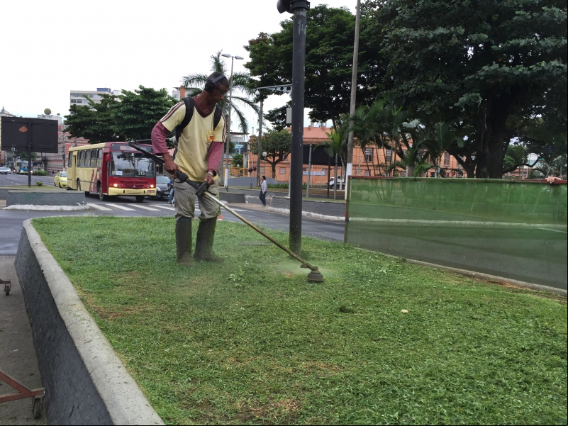 Poda de árvores é feita em quatro locais nesta segunda Poda de árvores é feita em quatro locais nesta segunda