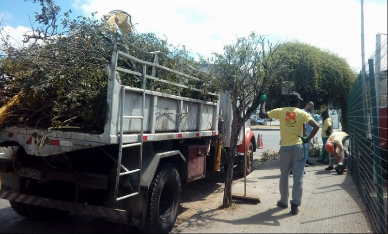 Empav realiza poda de árvores e retirada de ervas-de-arinho no Santa Terezinha Empav realiza poda de árvores e retirada de ervas-de-arinho no Santa Terezinha