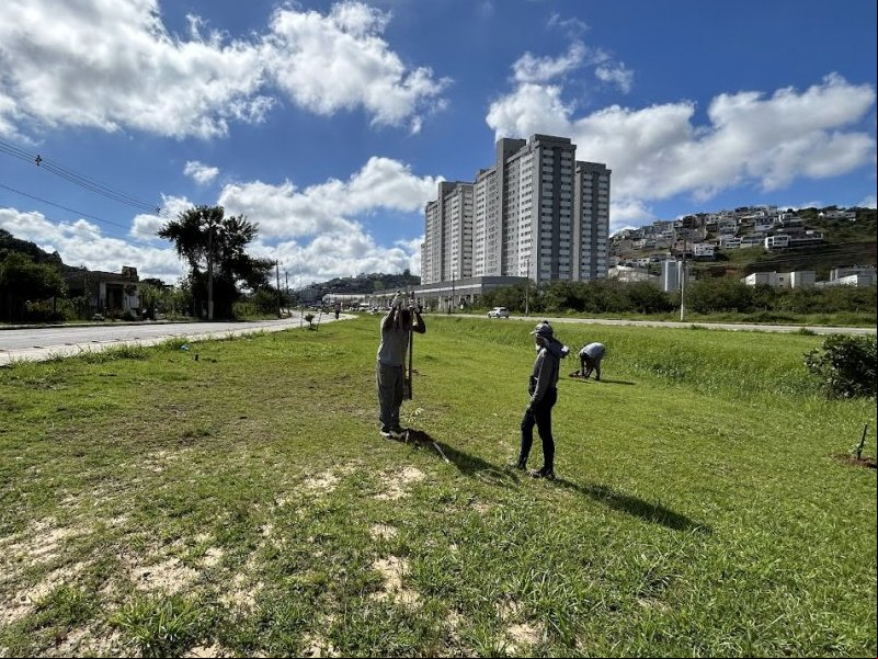 Cultivar o Futuro: Empav realiza o plantio de árvores nativas na Via São Pedro Cultivar o Futuro: Empav realiza o plantio de árvores nativas na Via São Pedro