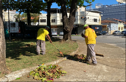Parques e Jardins