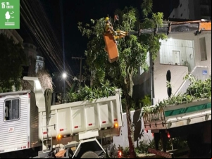 Prefeitura intensifica trabalho de podas preventivas de árvores no período noturno