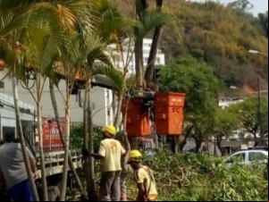 Empav realiza manutenção de praças, canteiros de avenidas e rotatórias