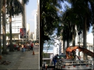 Parque Halfeld a por manutenção