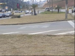 Empav realiza poda de árvores e grama em diversos pontos