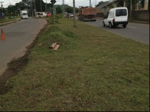 Empav realiza mais de 40 intervenções de cortes e podas de árvores