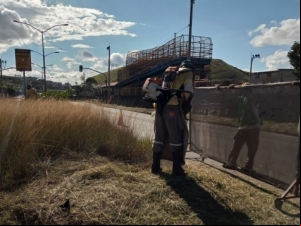 Equipes da Empav trabalham em oito bairros nesta semana