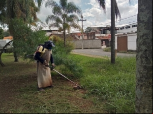 Equipes da Empav trabalham em oito bairros nesta semana