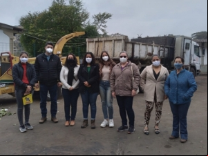 PJF desenvolve maneiras de reaproveitamento de podas de árvores