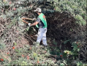 Operação Boniteza realiza serviços de zeladoria na cidade