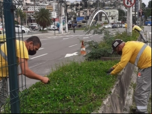  Setor de Parques e Jardins da Empav dá seguimento às ações da Operação Boniteza 
