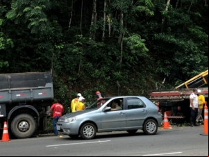 Operação de corte e poda de árvores na Gentil Forn é finalizada pela Empav