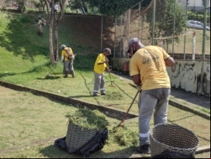 Empav dá sequência à operação de corte e poda de árvores na Estrada Engenheiro Gentil Forn