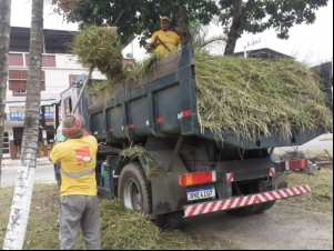 Programa Boniteza realiza zeladoria nas plantas da ponte Leopoldina nesta quarta-feira, 6