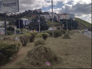 Através da Empav, zeladoria do Programa Boniteza atende 12 bairros em uma semana
