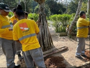 Parceria entre a PJF e o Senar oferece curso de viveirista florestal para acauteladas no Horto