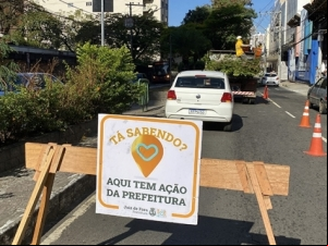 PJF conclui podas de árvores na avenida Itamar Franco