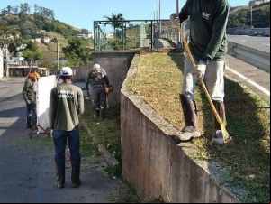 PJF atende 25 praças com limpeza e poda de grama e árvore em quatro dias